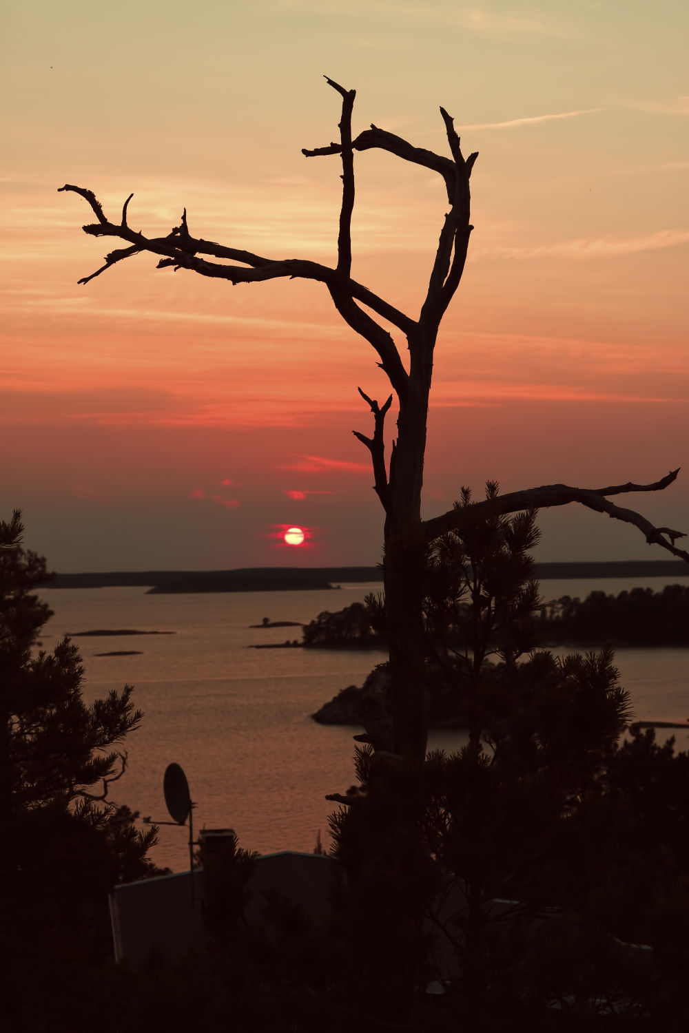 Evening Sunset