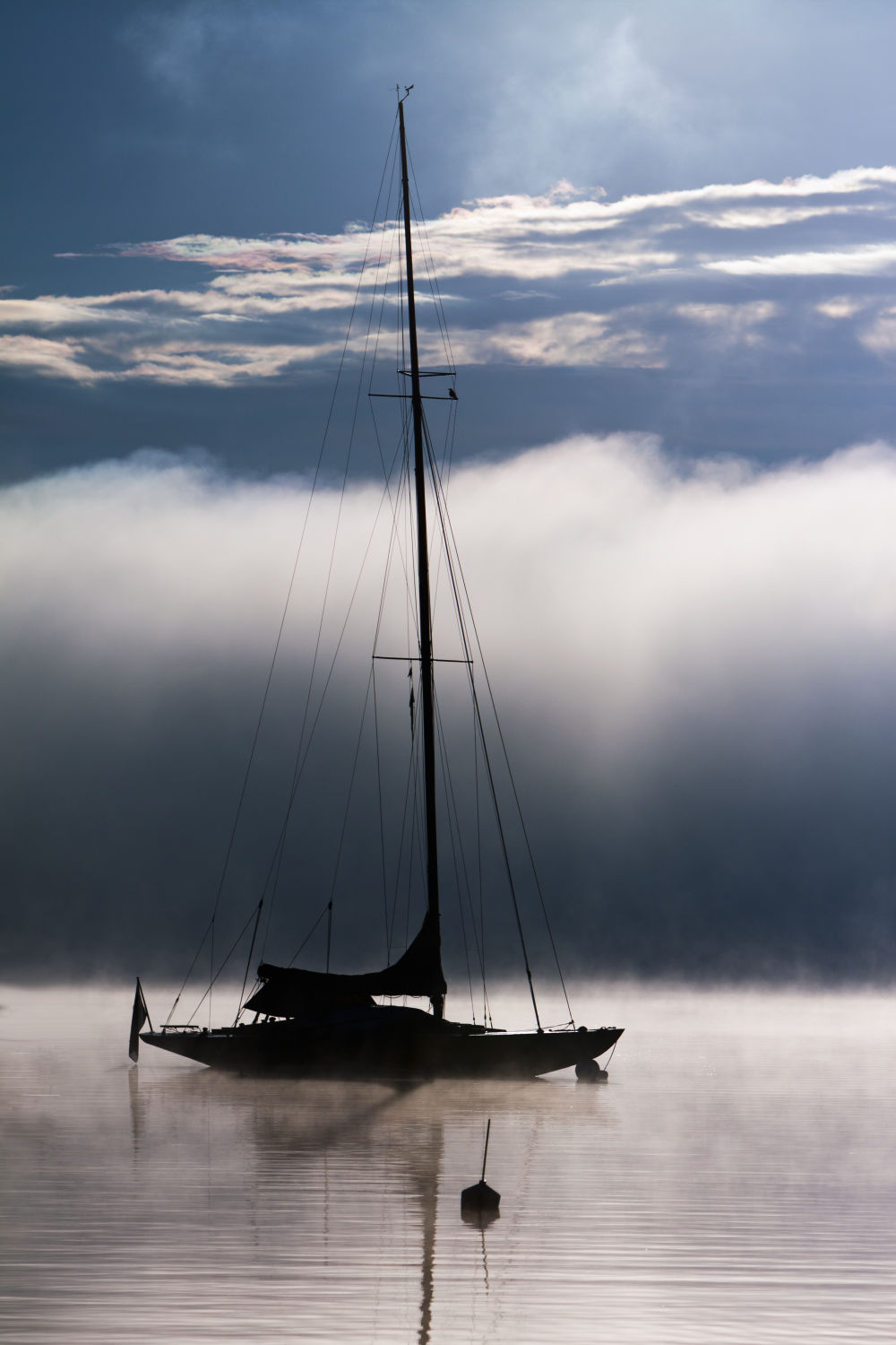 Misty Wake