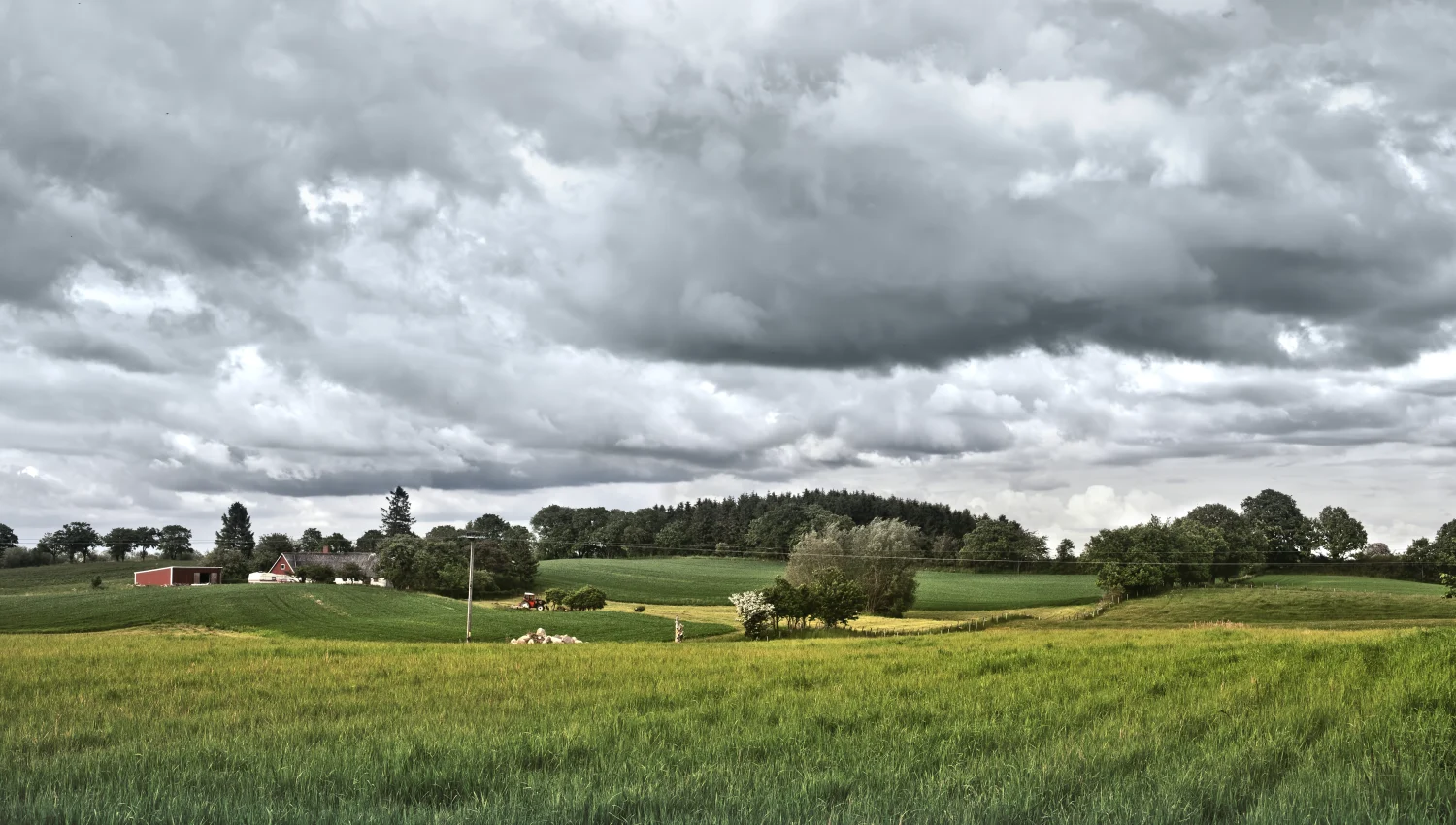 Cold Field